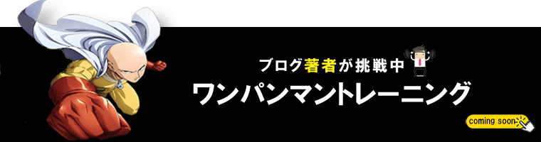 ワンパントレーニング 100日